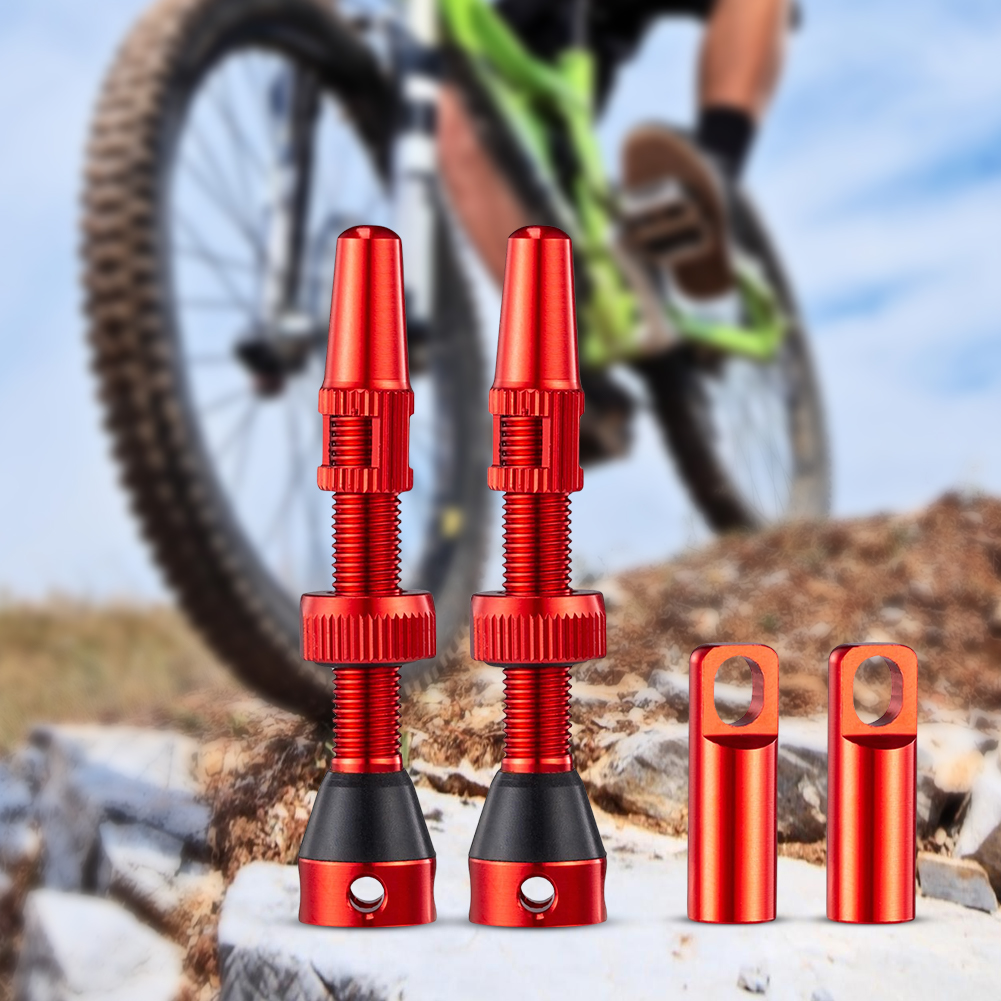 1 Pasang Alat Pembuka Katup Ba - Tubeless Valve Core ulasan dan harga